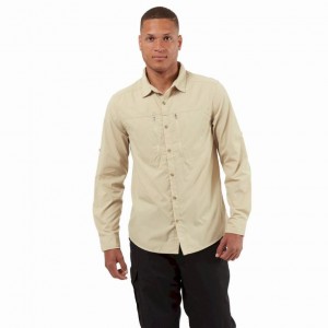 Chemises Craghoppers Kiwi Boulder Long Sleeve Homme Beige | ZQYR58743