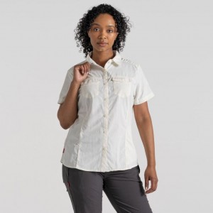 Chemises Craghoppers NosiLife Adventure II Corta Sleeve Femme Blanche | RKHT65837