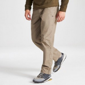 Pantalon Craghoppers Kiwi Boulder Homme Kaki | CXKW96527