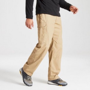 Pantalon Craghoppers Kiwi Classiche Homme Kaki | WKCU74530