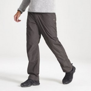 Pantalon Craghoppers Kiwi Classiche Homme Grise | YHWG97514