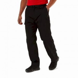 Pantalon Craghoppers Kiwi D'hiver Doublée Homme Noir | NQJM41652