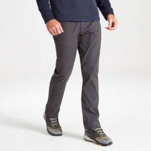 Pantalon Craghoppers Kiwi Pro II Homme Grise | KFJG34069