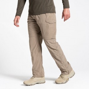 Pantalon Craghoppers NosiLife II Homme Kaki | RKWA80263