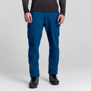 Pantalon Craghoppers NosiLife Pro Active Homme Bleu | FLTV03281