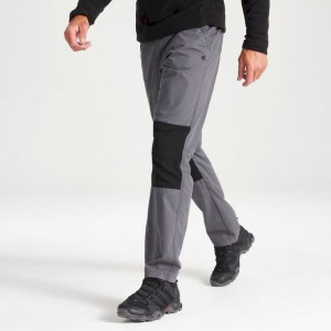 Pantalon Craghoppers Verve Homme Grise | IUCN32109