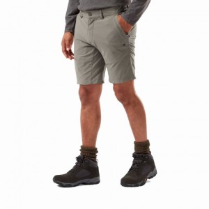 Shorts Craghoppers NosiLife Pro Active Homme Grise | GKXY27436