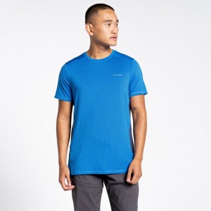 T Shirts Craghoppers Atmos Corta Sleeve Homme Bleu | KFQX45138