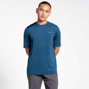 T Shirts Craghoppers Belardo Corta Sleeve Homme Bleu Marine | LKDX17685