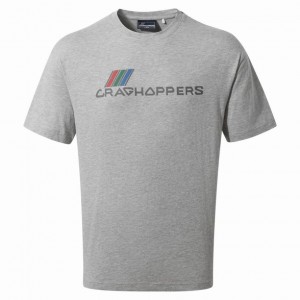 T Shirts Craghoppers Crosby Corta Sleeve Femme Grise | RWSP28605