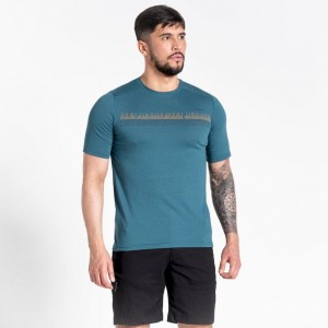 T Shirts Craghoppers Dynamic Corta Sleeve Homme Turquoise | HEAD81263