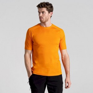 T Shirts Craghoppers Dynamic Pro Corta Sleeve Homme Orange | JIDF98475