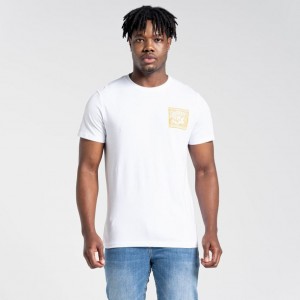 T Shirts Craghoppers Lugo Corta Sleeve Homme Blanche | XYDS04316