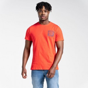 T Shirts Craghoppers Lugo Corta Sleeve Homme Orange | MYJB62581