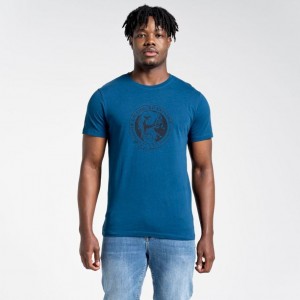 T Shirts Craghoppers Lugo Corta Sleeve Homme Bleu | OBNM45792