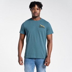 T Shirts Craghoppers Lugo Corta Sleeve Homme Turquoise | NUOA94651