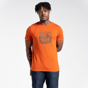 T Shirts Craghoppers Lugo Corta Sleeve Homme Orange | EYWQ10547