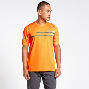 T Shirts Craghoppers NosiLife Pro Active Corta Sleeve Homme Orange | RDBO06281