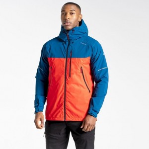 Veste Imperméable Craghoppers Dynamic Homme Bleu Orange | JQDX87254