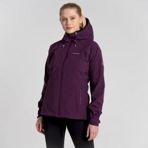 Veste À Capuche Craghoppers Anza Femme Violette | OCDS49673