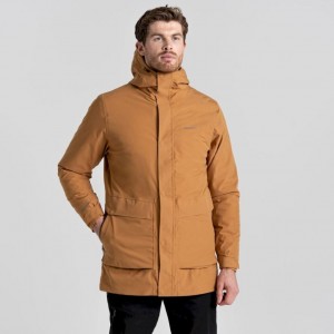 Veste À Capuche Craghoppers Lorton Pro 3 In 1 Homme Marron | ELZP37950