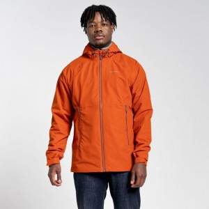 Veste À Capuche Craghoppers Sebastian Homme Orange | HSNG86049