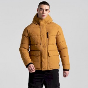 Vestes Isolées Craghoppers Dunbeath Encapuchonné Homme Marron | ISKP38124