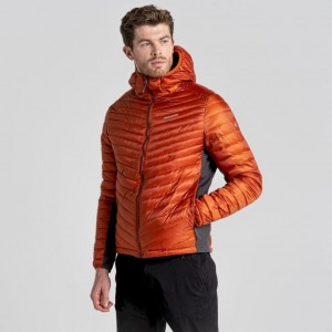 Vestes Isolées Craghoppers ExpoLite Encapuchonné Homme Orange | DHCB36895