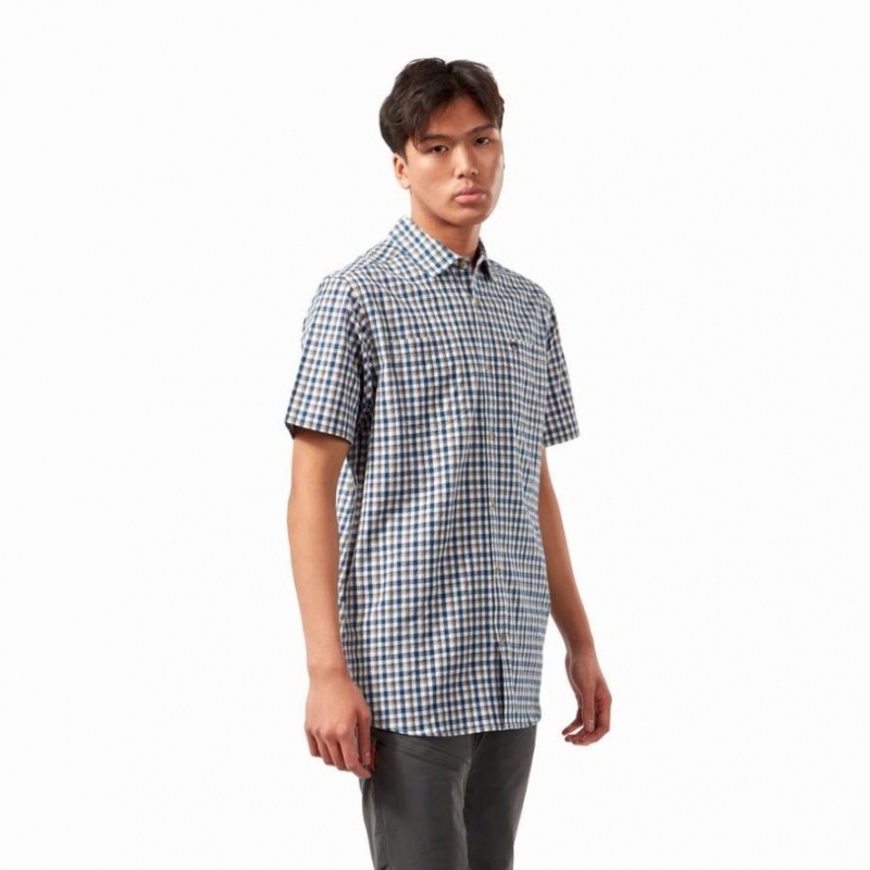 Chemises Craghoppers Nour Corta Sleeve Check Homme Bleu Marine | INTY23598