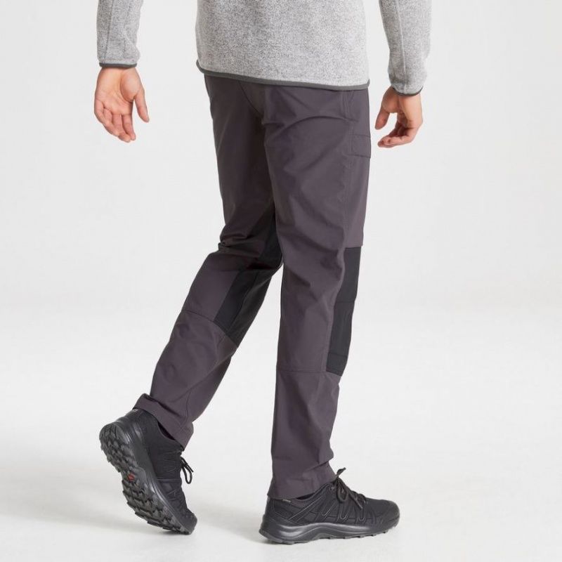 Pantalon Craghoppers Kiwi Pro Expedition Homme Grise | ICGB85134