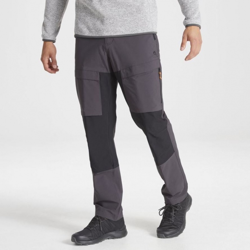 Pantalon Craghoppers Kiwi Pro Expedition Homme Grise | ICGB85134