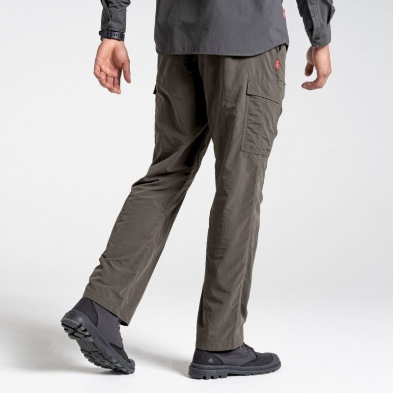 Pantalon Craghoppers NosiLife Cargo II Homme Grise | BUGQ82104