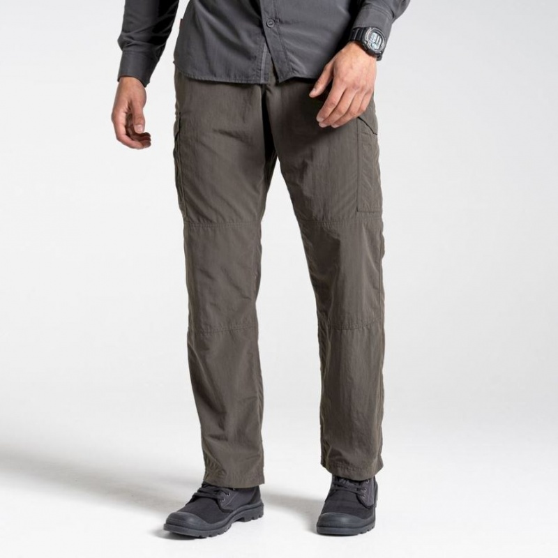 Pantalon Craghoppers NosiLife Cargo II Homme Grise | BUGQ82104