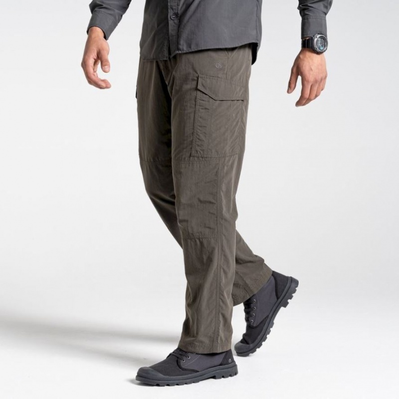 Pantalon Craghoppers NosiLife Cargo II Homme Grise | BUGQ82104