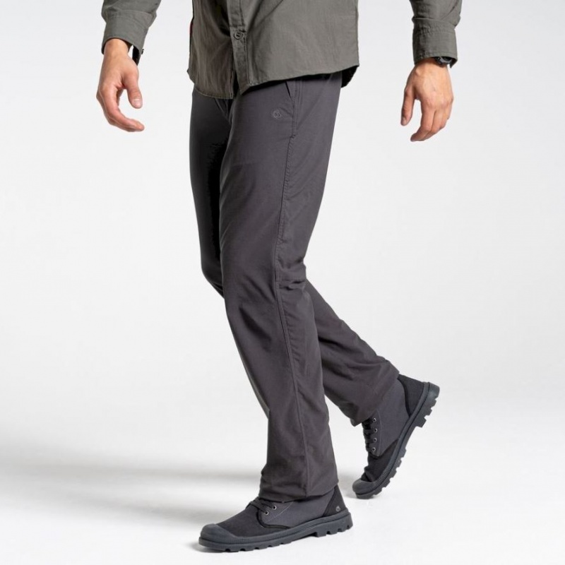 Pantalon Craghoppers NosiLife Pro II Homme Noir | TCVK89365