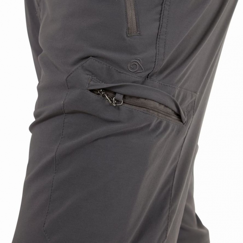 Pantalon Craghoppers NosiLife Pro II Homme Grise | MHQL97684