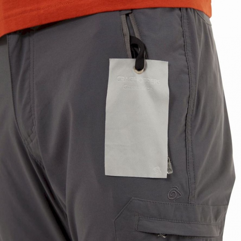 Pantalon Craghoppers NosiLife Pro II Homme Grise | MHQL97684