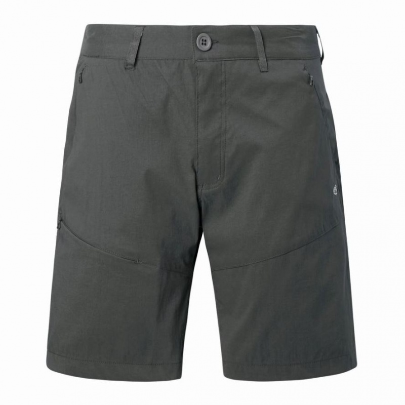 Shorts Craghoppers Kiwi Pro Homme Grise Foncé | FXMQ93162