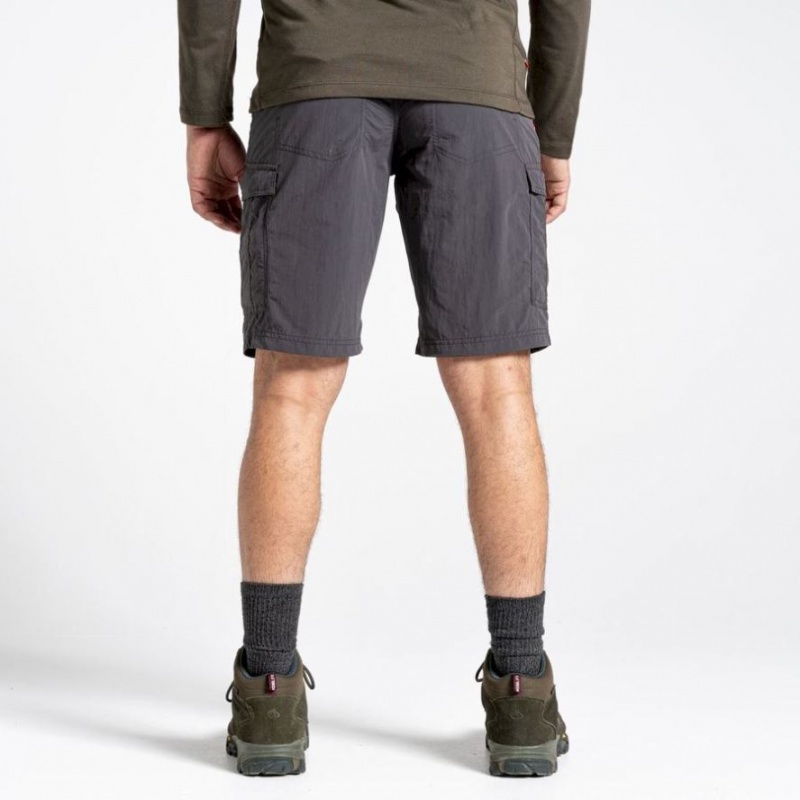 Shorts Craghoppers NosiLife Cargo II Homme Grise | NTZS91357