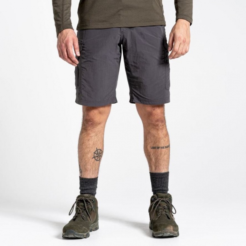 Shorts Craghoppers NosiLife Cargo II Homme Grise | NTZS91357