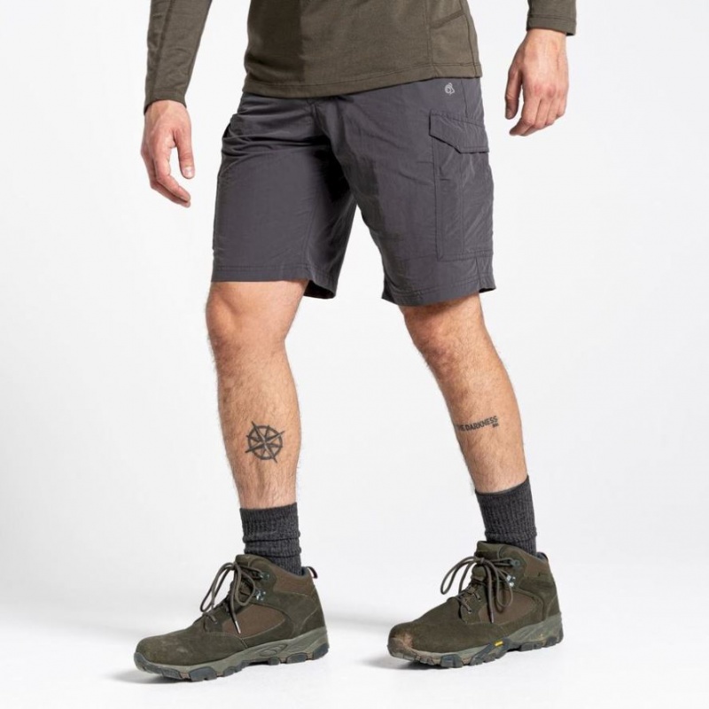 Shorts Craghoppers NosiLife Cargo II Homme Grise | NTZS91357