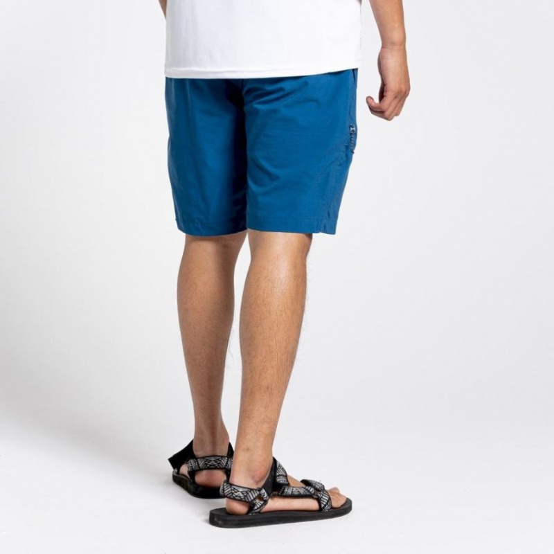 Shorts Craghoppers NosiLife Pro Active Homme Bleu | AOCS12835