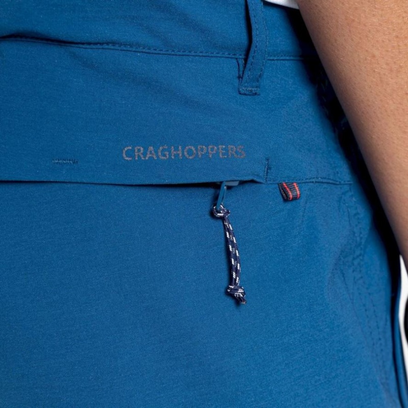 Shorts Craghoppers NosiLife Pro Active Homme Bleu | AOCS12835