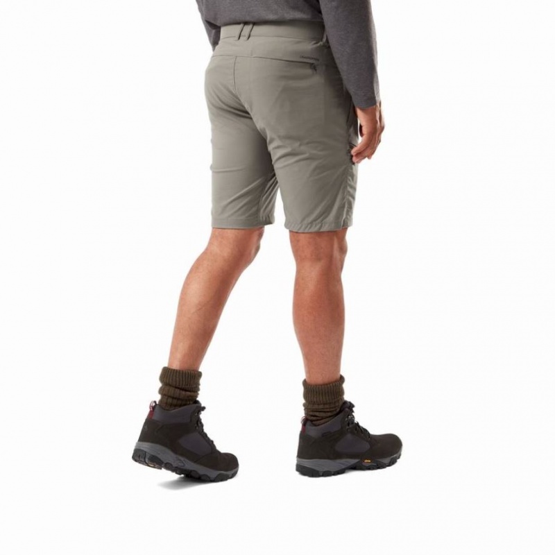 Shorts Craghoppers NosiLife Pro Active Homme Grise | GKXY27436