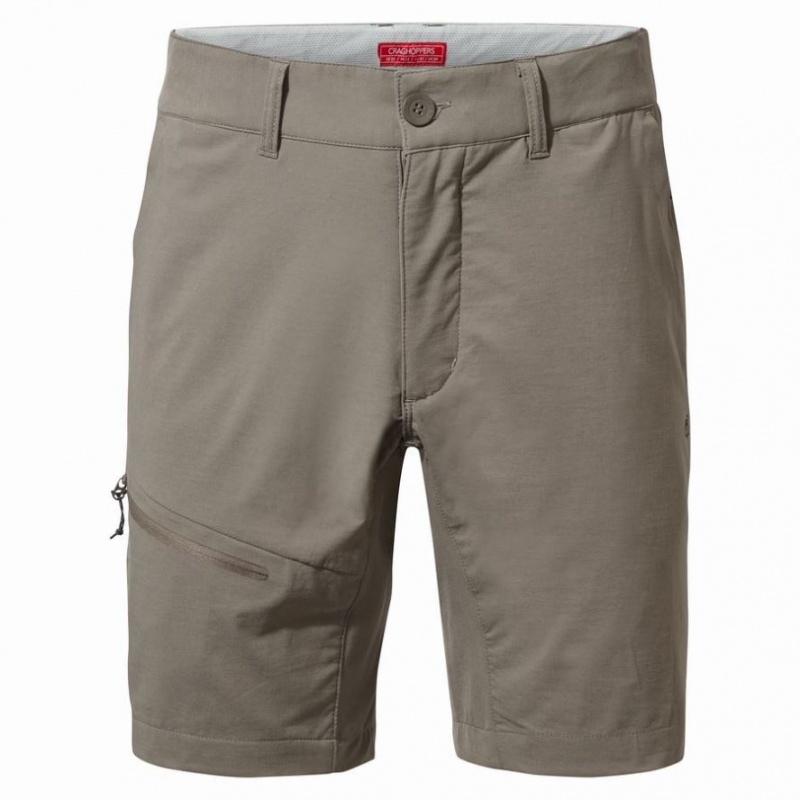 Shorts Craghoppers NosiLife Pro Active Homme Grise | GKXY27436