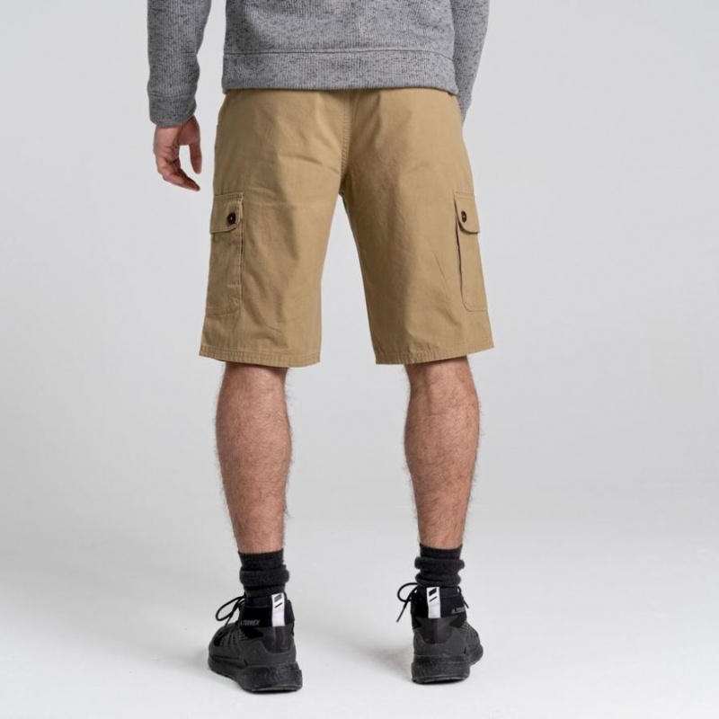 Shorts Craghoppers Thallon Homme Kaki | BSCD75602