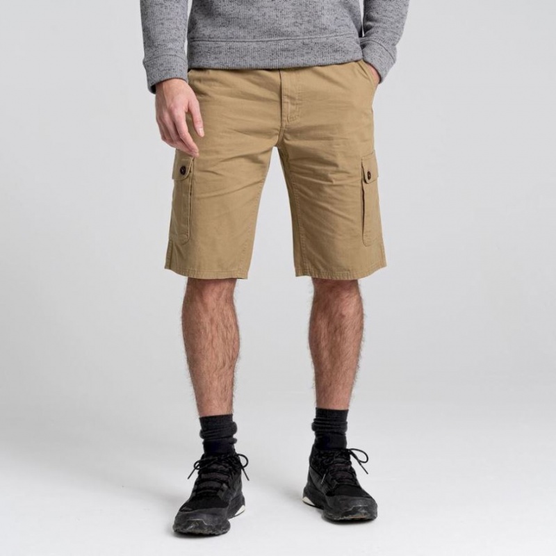 Shorts Craghoppers Thallon Homme Kaki | BSCD75602