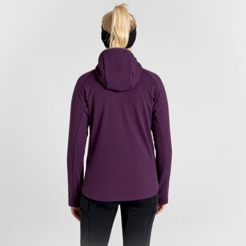 Sweat À Capuche Craghoppers Dynamic Pro Femme Violette | FOKE54062