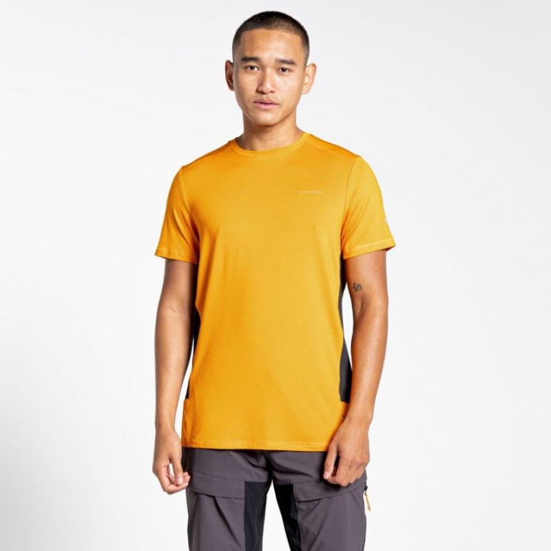 T Shirts Craghoppers Atmos Corta Sleeve Homme Orange | GBQD78251