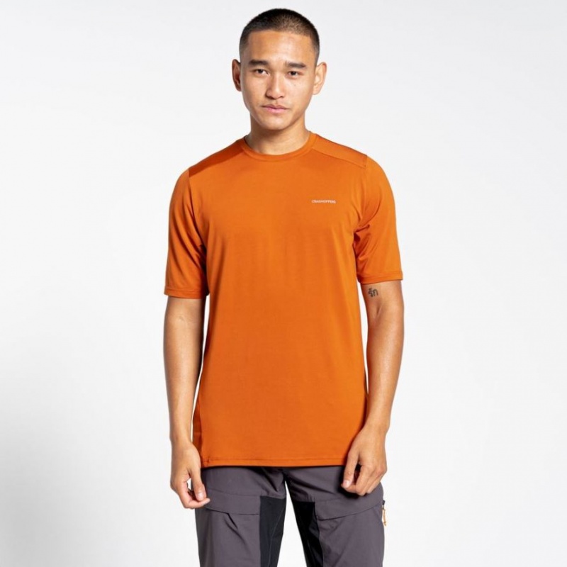 T Shirts Craghoppers Belardo Corta Sleeve Homme Orange | WKTF67831